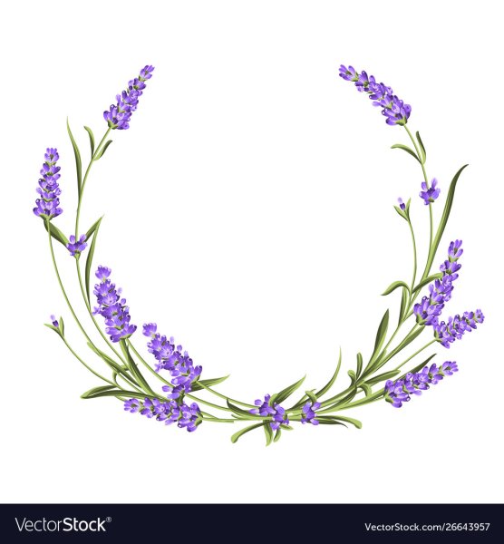 Лаванда Прованс венок