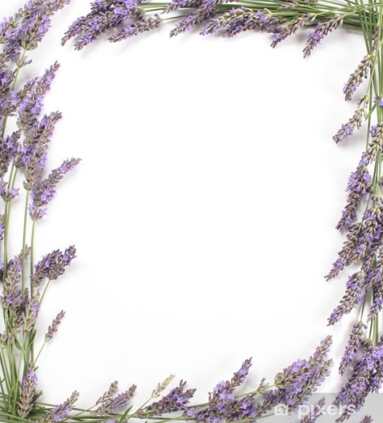 Рамочка в лавандовом стиле