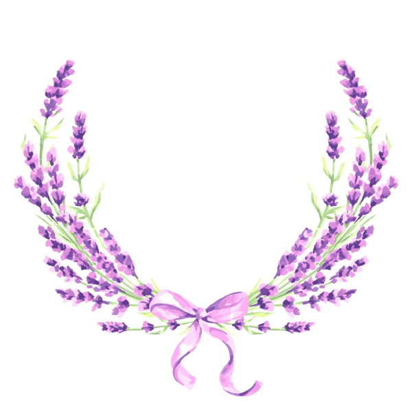 Ветка лаванды вектор