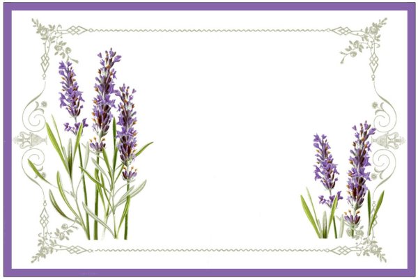 Лаванда открытка