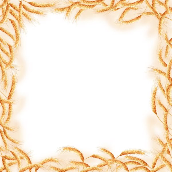 Рамочка с колосками