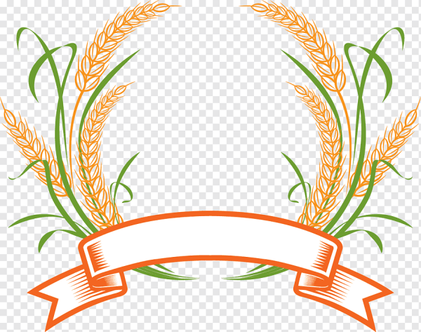 Орнамент колосья