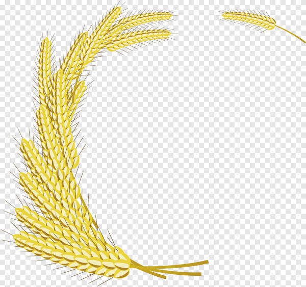 Рамка колоски