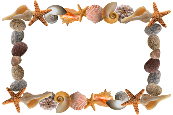 Красивая рамка морская