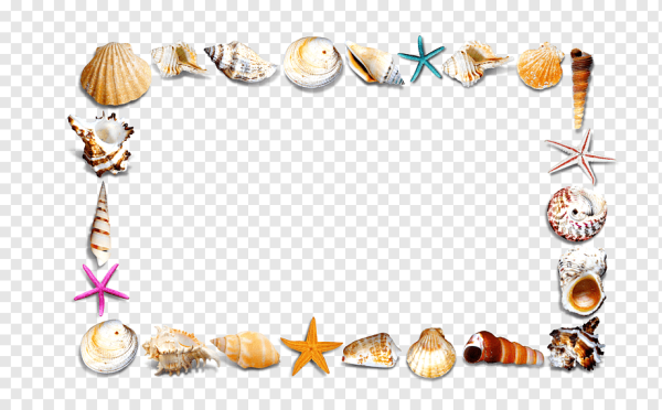 Рамка морская на прозрачном фоне