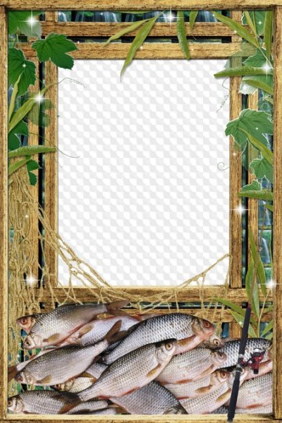 Рамка для фотошопа рыбалка