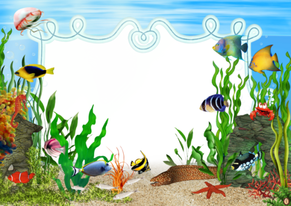 Стихи для детей о подводном мире