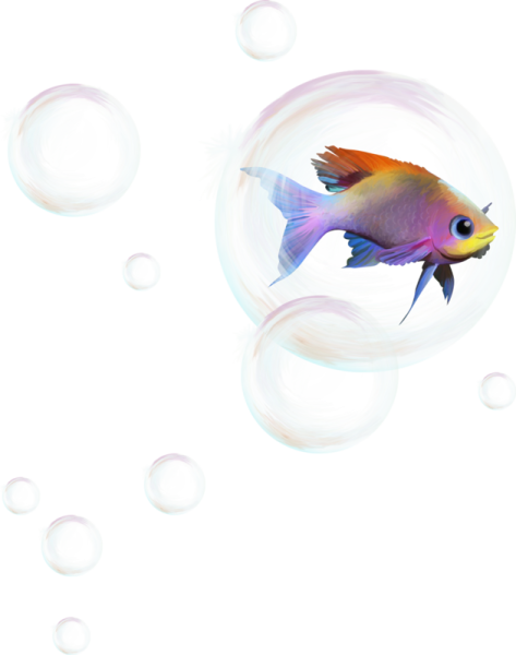 Рыбки для фотошопа на прозрачном фоне