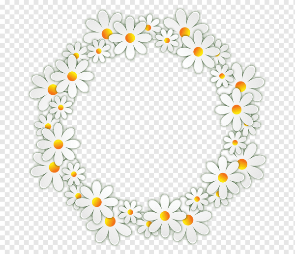 Рамка из ромашек