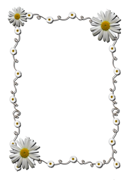Рамка ромашки