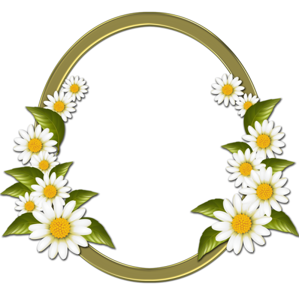 Рамочка с ромашками
