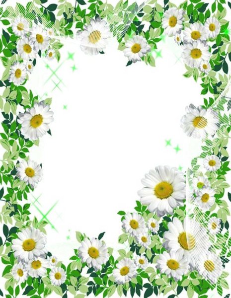 Рамка для фотографий с ромашками