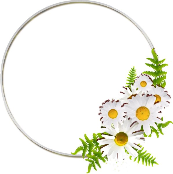 Круглая рамка из ромашек