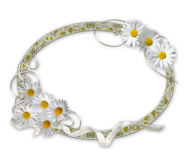 Круглая рамка с ромашками