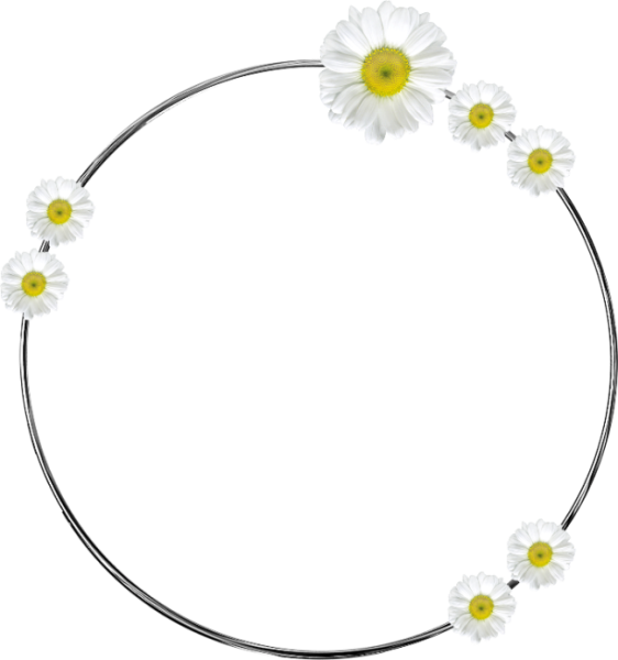 Круглая рамка из ромашек