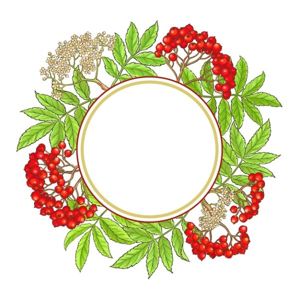 Рамка круглая рябина