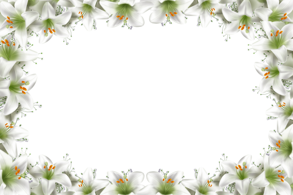 Рамка из лилий