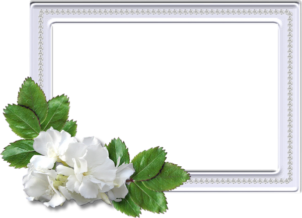 Рамка Цветочная белая
