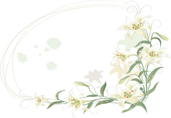 Цветочные виньетки на прозрачном фоне