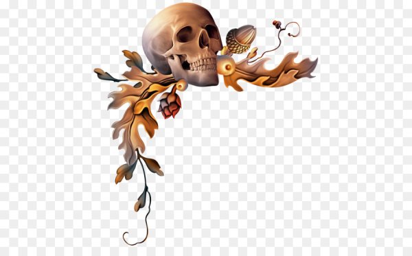 Рамка с черепами