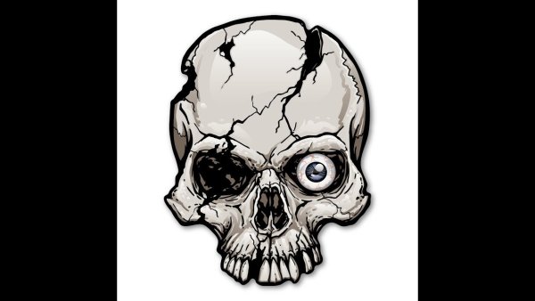 Череп на прозрачном фоне