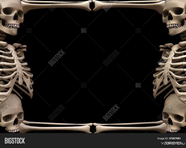 Рамка косточки скелета