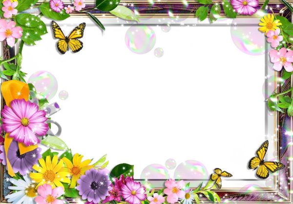 Летняя рамка