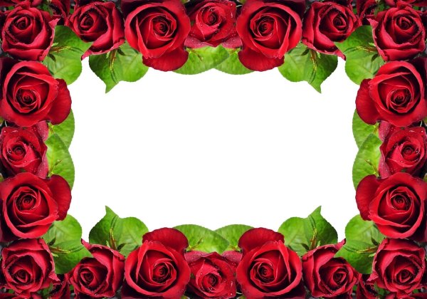 Рамка розы