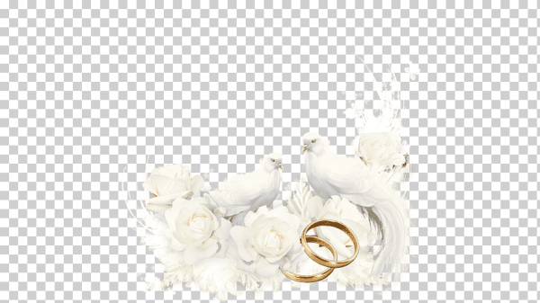 Свадебные голуби на прозрачном фоне