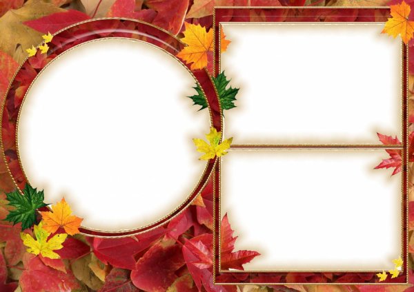 Рамка для школьного коллажа