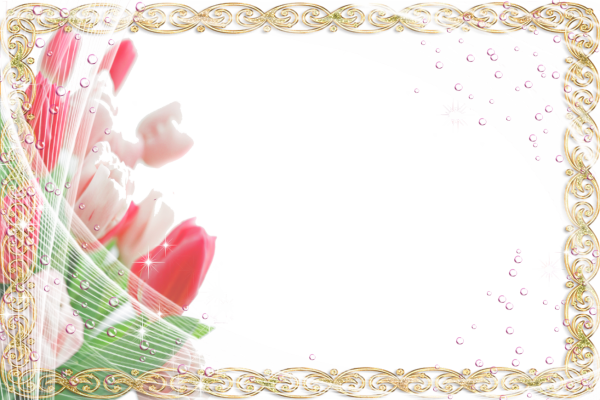 Нежные рамки с днем рождения