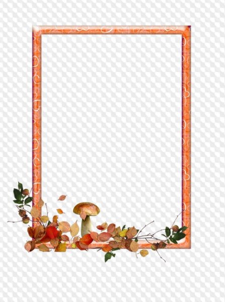 Рамка грибы