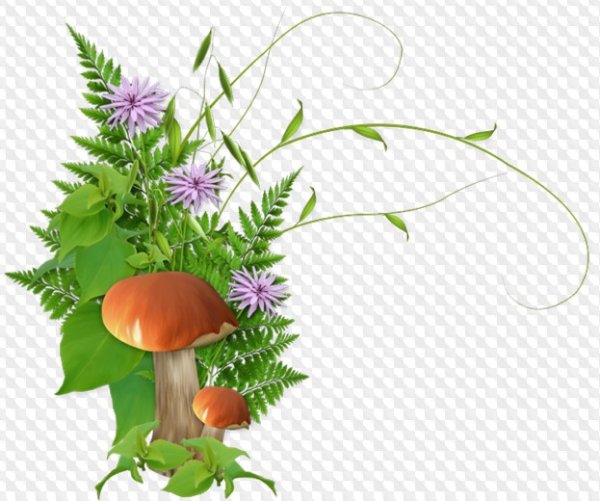 Рамка грибы ягоды