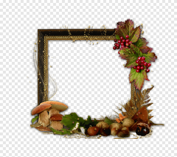 Рамка из грибов