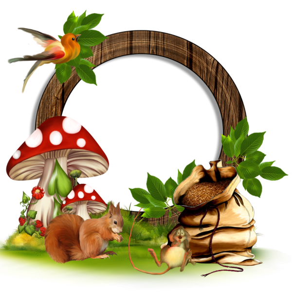 Рамка грибы