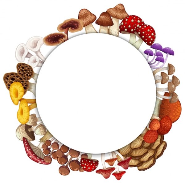 Фоторамки с грибами