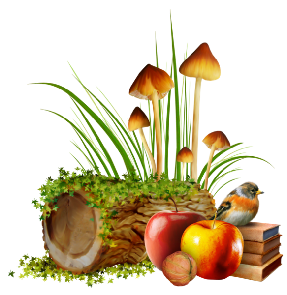 Полянка осенняя прозрачный фон