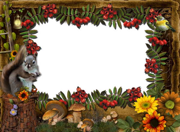Рамки с лесными животными