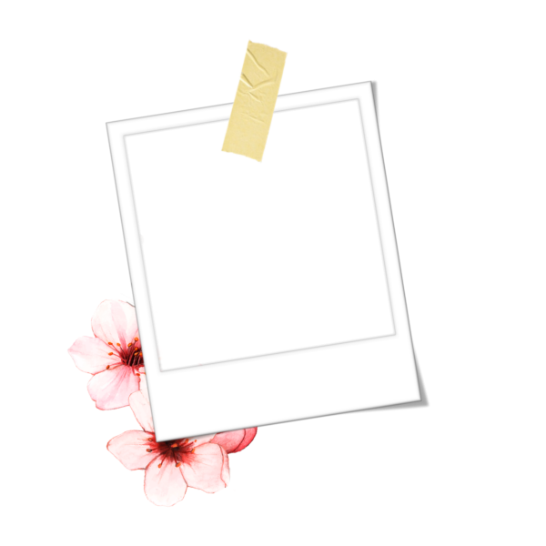 Рамка стикер