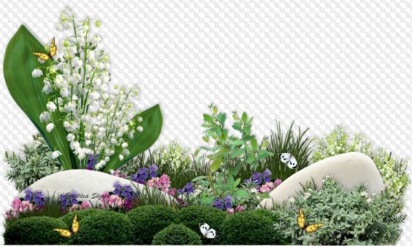 Весенний саду на прозрачной основе