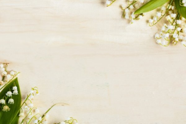 Фон для презентации Ландыши