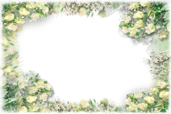 Рамка белые розы