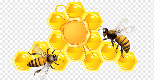 Веселый улей