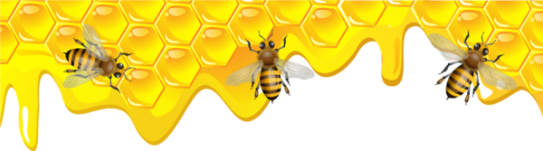 Пчела на сотах на прозрачном фоне