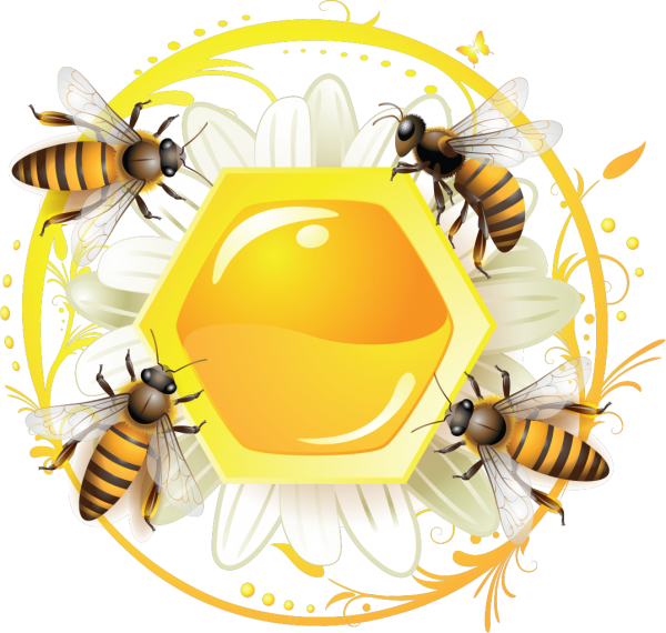 Соты с пчелкой