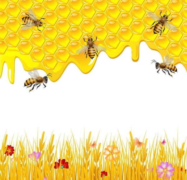 Фон пчелы