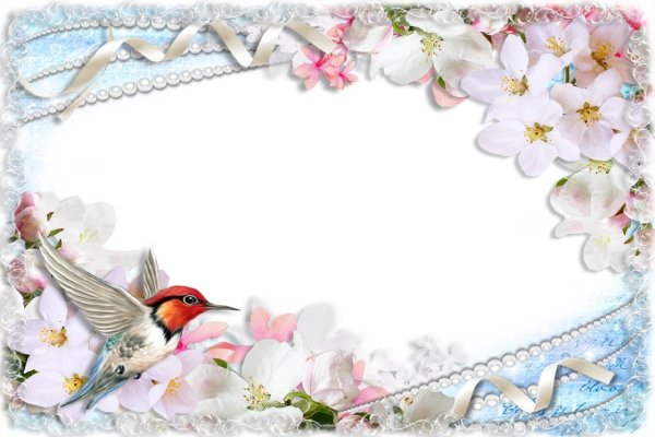 Рамки с днем рождения весной с птицами