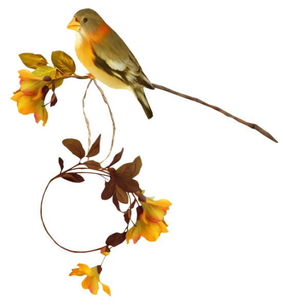 Осенние птички на прозрачном фоне