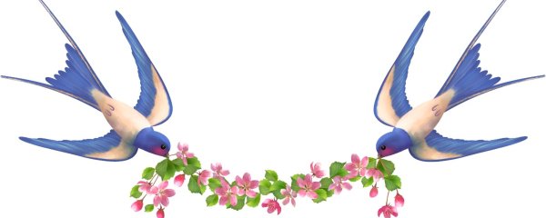 Весенние птицы на прозрачном фоне