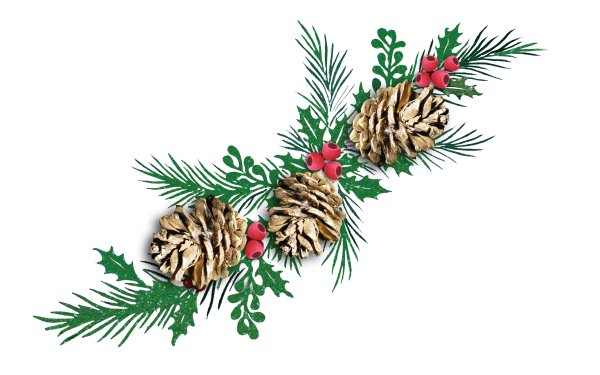 Новогодняя ветка